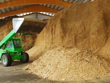 Il Veneto promuove l’uso delle biomasse